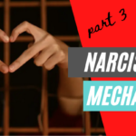 The Narcissism Mechanism – part 3